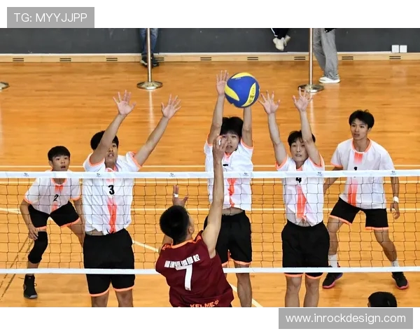 排球新手必看：提升个人技能的全面入门指南与实用技巧分享